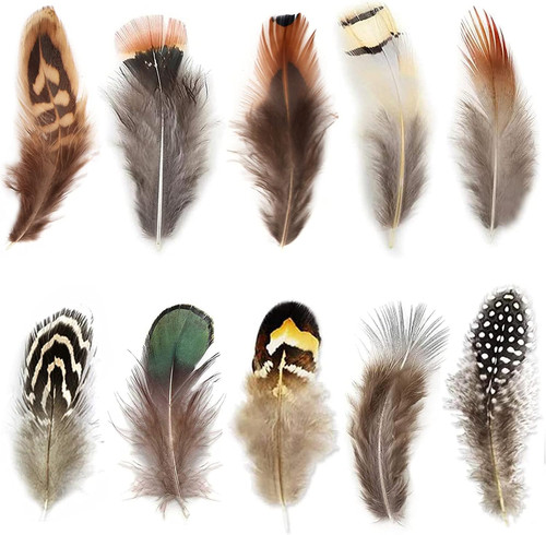 300pz piume naturali stile - 300pz,