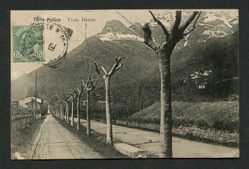P032 cartolina torre pelice - cartolina,