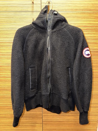 Canada goose chilliwack - canada,